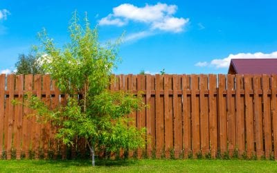 Boulderites Love Western Red Cedar Fencing