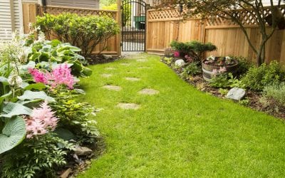Why Cedar Fencing Is The Best!