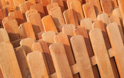 Lifestyle Changes that Might Require a New Cedar Fence