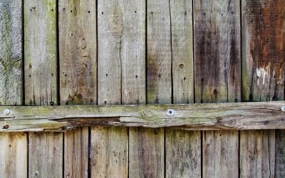 Preventing Wood Fence Rotting?