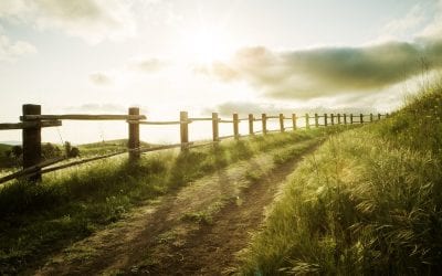 Commonly Asked Fencing Questions