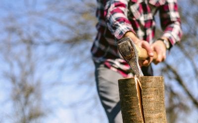 Cutting Your Own Split Rail Fence