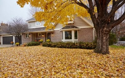 3 Tips for Homeowners to Prepare your Yard for Fall and Winter