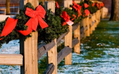 Split Rail Fencing Projects