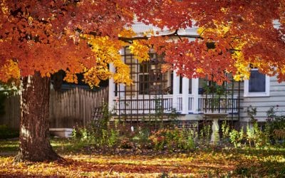 Preparing Your Yard for Fall