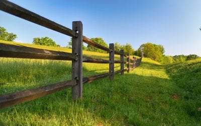 Everything Split Rail Fence