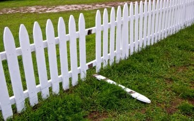 Benefits of Cedar Fencing Opposed To Others