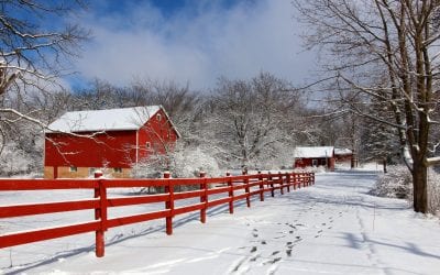 Taking Care of Your Farm Through Fencing