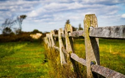 The Basics Of Split Rail – Why It’s A Great Choice?
