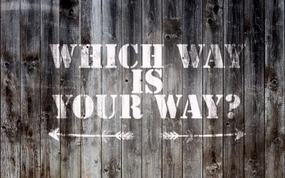 What’s the Best Fencing Material?