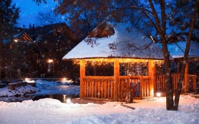 Backyard Improvement Ideas