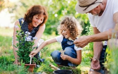 Things to Do in Your Backyard During Quarantine