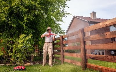 Taking Care of Your Cedar