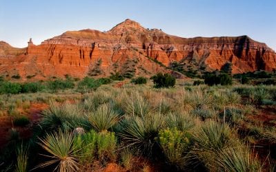 Discount Fence Company in Amarillo, TX