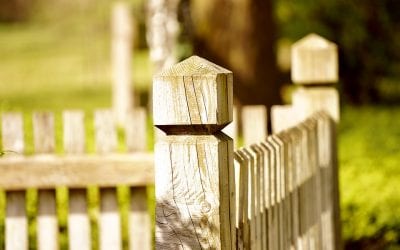 Life is full of Ups and Downs. . . and so is Your Yard