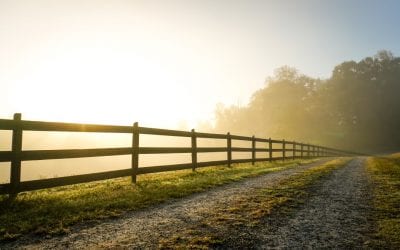 Ranch Rail Fencing in Westminster, CO