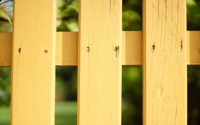 Fencing Foundations: Which Post is Best?