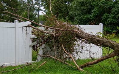 Keeping Mother Nature at Bay