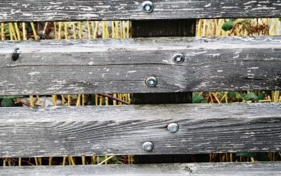 Are Screws or Nails Better for Building a Fence?