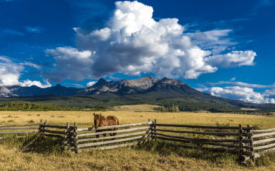 The Cedar Fence Direct Buying Process