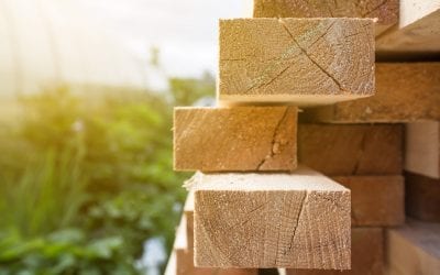 5 Reasons to Buy Cedar Fence Direct