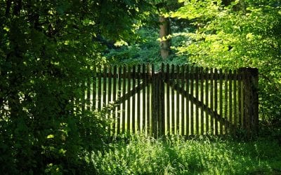 Building an Eco-Friendly Fence