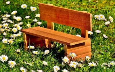 5 Stunning Cedar DIY Projects
