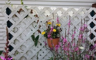 Lattice Fencing – Not Just Cheap Concealment