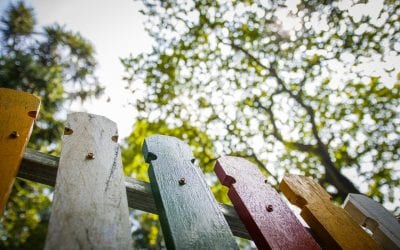 Three Decisions to Make Before you Build Your Fence