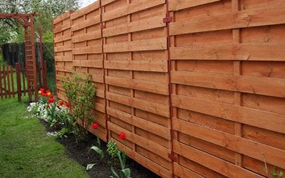 5 Reasons Why You May Consider Building a Trex Fence