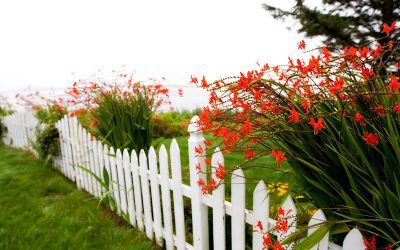 How do I protect my fence from rotting? What can cause a fence to rot?
