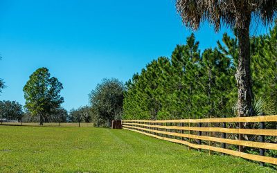 The Ins and Outs of Rail Fences