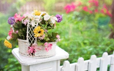 9 Reasons Why You Need to Build a Fence