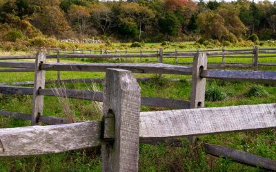 Split Rail Fencing for Your Colorado Property