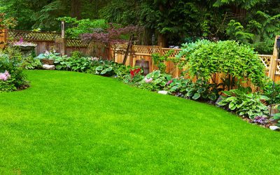 Can burrowing animals damage my fence? How do I deal with them?