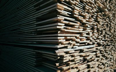 Why is Everything Made of Cedar Wood?