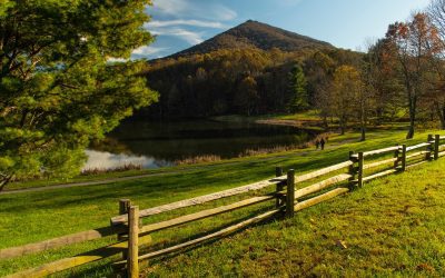 Split Rail Fencing: Affordable, Secure, High-Quality