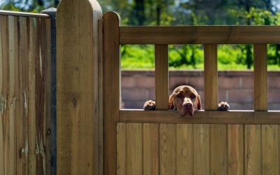 Horizontal or Vertical Privacy Fence: Which One is Better?