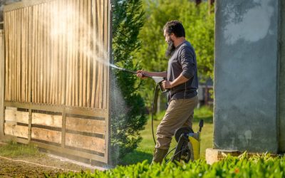 Cedar Fencing Maintenance Tips